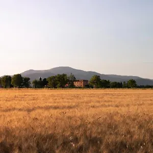 Il Pescinone Italia